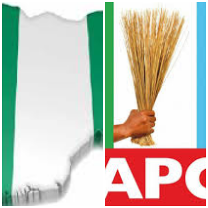 Opinion: Muslim-Muslim Ticket: The winning perspective of APC