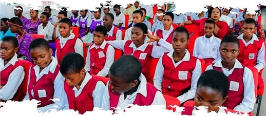 Girl child development remains central legislative agenda – Sen Imasuen