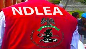 NDLEA Seizes Over ₦5bn Worth of Drugs at Lagos, Rivers Ports