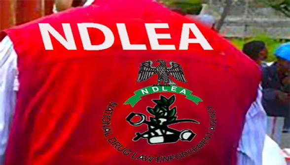 NDLEA Seizes Over ₦5bn Worth of Drugs at Lagos, Rivers Ports